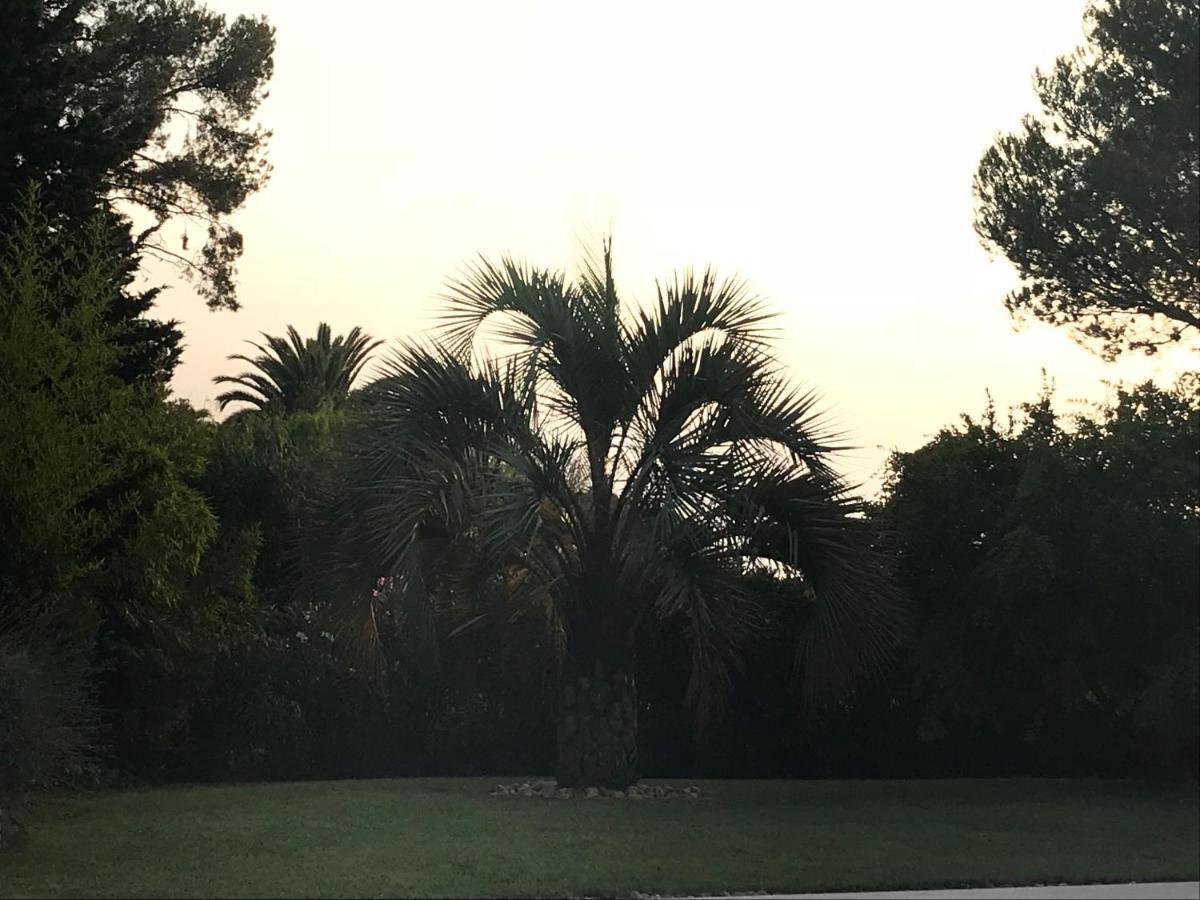 Belle Villa Dans Clos Prive - Saint Raphael Boulouris Kültér fotó